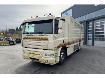 Camión para caballos DAF CF 410