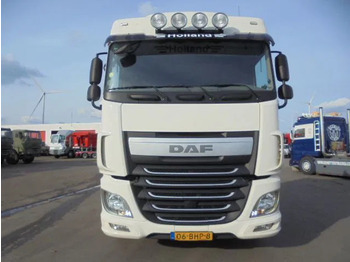 Cabeza tractora DAF XF 440: foto 2