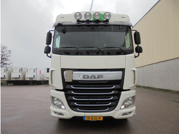 Cabeza tractora DAF XF 440 FT EUR6: foto 2