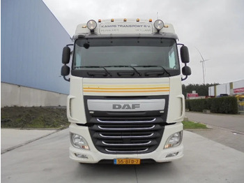 Cabeza tractora DAF XF 460: foto 2