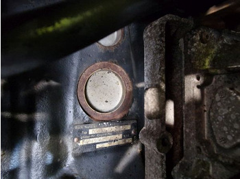 Motor para Camión MAN D0834 LFL51 Engine (Truck): foto 2