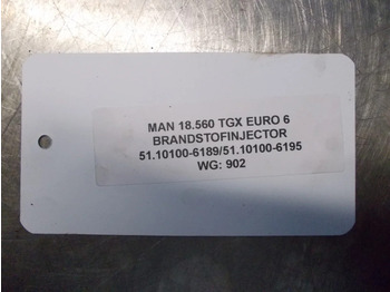 Filtro de combustible para Camión MAN 51.10100-6189//51.10100-6195 // D3876LF01 INJECTORS MAN 18 560 EURO 6: foto 4
