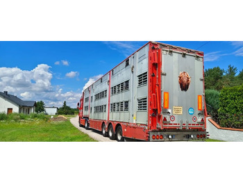 Semirremolque transporte de ganado PEZZAIOLI