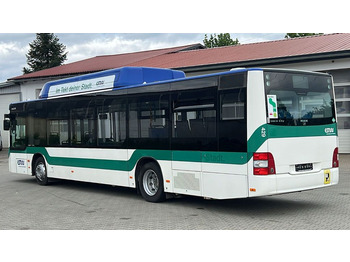 Autobús urbano MAN A 21  CNG   Euro 5  EEV: foto 5 Autobús urbano MAN A 21  CNG   Euro 5  EEV: foto 5