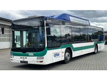 Autobús urbano MAN A 21  CNG   Euro 5  EEV: foto 4 Autobús urbano MAN A 21  CNG   Euro 5  EEV: foto 4