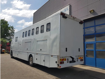 Camión para caballos DAF 95.350 Paardenwagen met zitverblijf 7 paarden 7 horses: foto 4