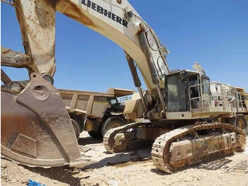 Excavadora LIEBHERR