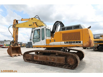 Excavadora de cadenas Liebherr R 954 B: foto 2