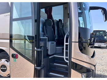 Autocar nuevo MAN Lions Coach: foto 3