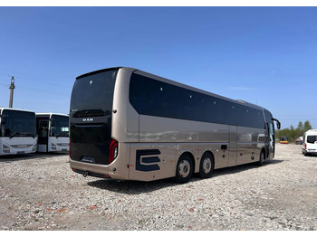 Autocar nuevo MAN Lions Coach: foto 4