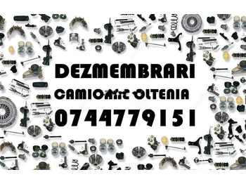 Leasing de Volvo F12, FH12, FH16, FM, FL Volvo F12, FH12, FH16, FM, FL: foto 2