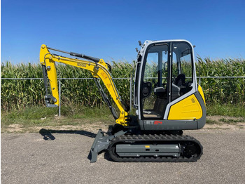 Miniexcavadora WACKER