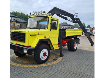 Camión volquete, Camión grúa IVECO MAGIRUS STRALIS kiper 4x4 + HDS: foto 4