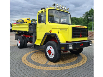 Camión volquete, Camión grúa IVECO MAGIRUS STRALIS kiper 4x4 + HDS: foto 2