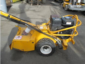 : imagen de cabecera