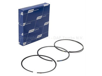 Pistones/ Anillos/ Bujes DAF CF