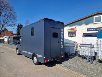 Leasing de  MSG Stablehopper Pferdetransporter Pferdeanhänger Böckmann MSG Stablehopper Pferdetransporter Pferdeanhänger Böckmann: foto 4