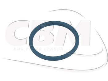 Dirección IRISBUS
