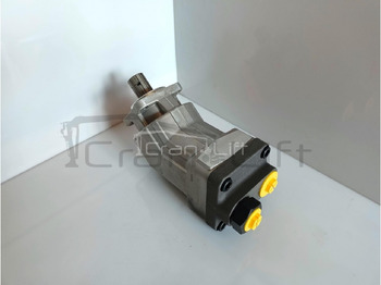 Bomba hidráulica para Grúa para camión Pompa hydrauliczna tłoczkowa Rexroth A17FO80: foto 2