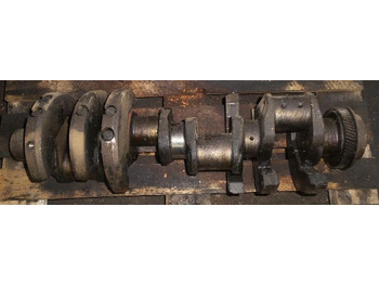 : imagen de cabecera