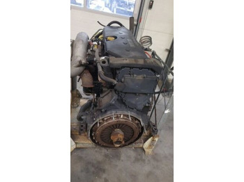 Motor para Camión IVECO F3AE3681A   IVECO STRALIS truck: foto 2