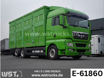 Camión para caballos MAN TGX 26.480