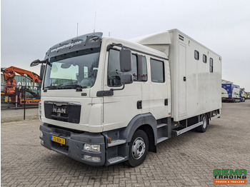 Camión para caballos MAN TGL 12.180 4x2 DoKa 7 pers. Euro5 EEV - Paardenwagen 2-Paards - 147.000km! - MARGE: foto 3