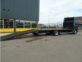 Camión portavehículos Scania P 270 + manual + hydrolic ramps + WINCH: foto 4