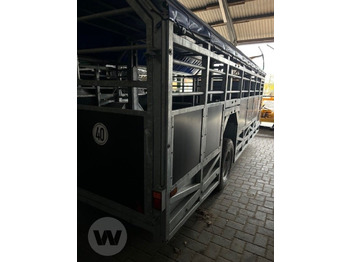 Remolque transporte de ganado nuevo Transportwagen 6 m: foto 4