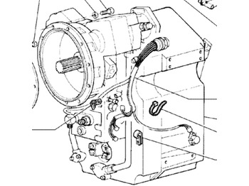 : imagen de cabecera