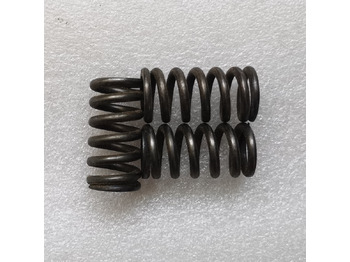 Embrague y piezas para Cargadora de ruedas nuevo FLAND FL45 Mini Wheel Loader Clutch Springs: foto 4