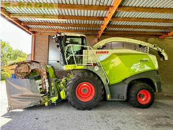 Cosechadora de forraje CLAAS jaguar 870 (496), orbis 600 sd, pu 300 profi con: foto 3