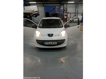 Coche PEUGEOT