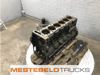 Motor y piezas para Camión Iveco Motorblok D2066: foto 2