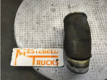 Bastidor/ Chasis MAN