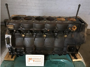 Motor y piezas MAN