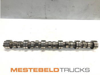 : imagen de cabecera