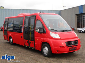 Minibús FIAT Ducato