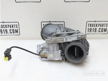 Motor y piezas DAF
