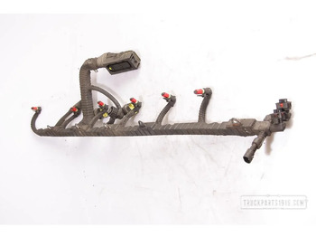 Cables/ Alambres DAF