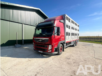 Leasing de  Volvo Fm 410 DO PRZEWOZU BYDŁA Volvo Fm 410 DO PRZEWOZU BYDŁA: foto 1