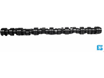 : imagen de cabecera