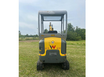Miniexcavadora Miniescavatore usato Wacker Neuson ET 16 MTR: foto 2