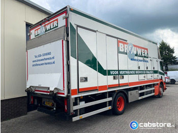 Camión frigorífico Scania P250 LB 4x2 Koelbak: foto 2