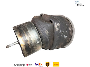 Suspensión neumática IVECO S-WAY