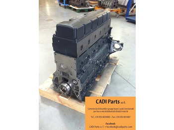 Motor MOTORE MAN D0836LFL40: foto 4