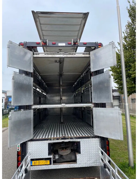 DAF XF 460 2017 berdex 3 lagen varkens - Camión transporte de ganado: foto 3 DAF XF 460 2017 berdex 3 lagen varkens - Camión transporte de ganado: foto 3