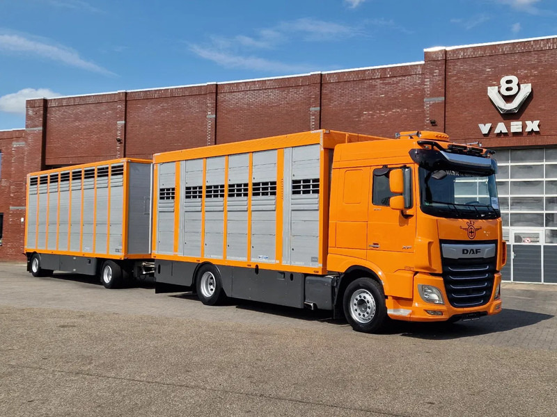 DAF XF 530 4x2 - Livestock Menke + 2018 Menke trailer 2 deck - Water + Ventilation - Lifting roof - Camión transporte de ganado: foto 2 DAF XF 530 4x2 - Livestock Menke + 2018 Menke trailer 2 deck - Water + Ventilation - Lifting roof - Camión transporte de ganado: foto 2