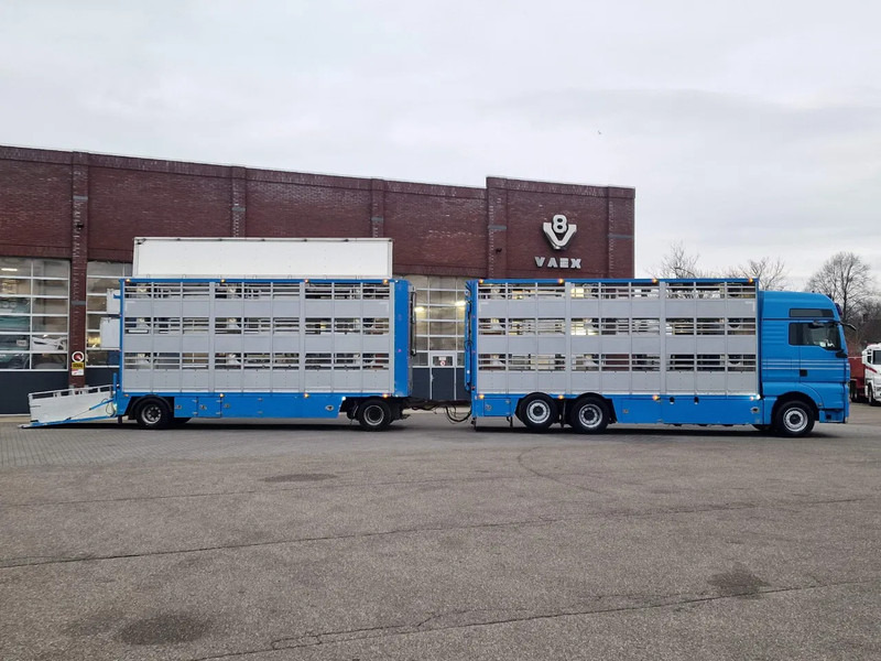 MAN TGX 26.440 6x2*4 - 3 deck Livestock - Water & Ventilation + Jumbo/Bekkers 3 deck trailer - Camión transporte de ganado: foto 3 MAN TGX 26.440 6x2*4 - 3 deck Livestock - Water & Ventilation + Jumbo/Bekkers 3 deck trailer - Camión transporte de ganado: foto 3