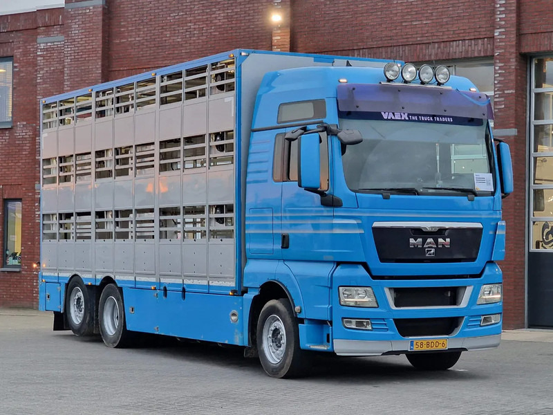 MAN TGX 26.440 6x2*4 - 3 deck Livestock - Water & Ventilation - Manual gearbox - Steering axle - Camión transporte de ganado: foto 2 MAN TGX 26.440 6x2*4 - 3 deck Livestock - Water & Ventilation - Manual gearbox - Steering axle - Camión transporte de ganado: foto 2
